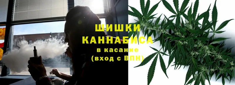 Конопля план  ссылка на мегу   Пятигорск  наркошоп 